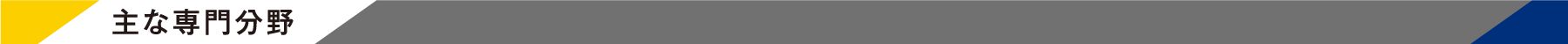 主な専門分野