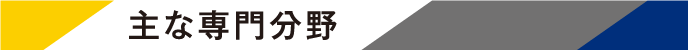 主な専門分野